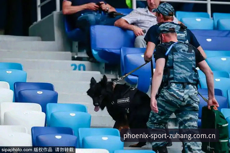 凤凰体育APP怎么样 揭秘世界杯安保团队缩水:为何仅3名英国警员赴美,背后牵出巨额开支争议